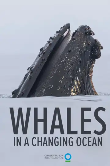 Whales in a Changing Ocean