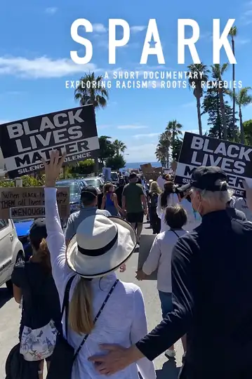 Spark: A Systemic Racism Story
