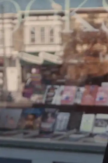 Confessions of a Curious Bookseller