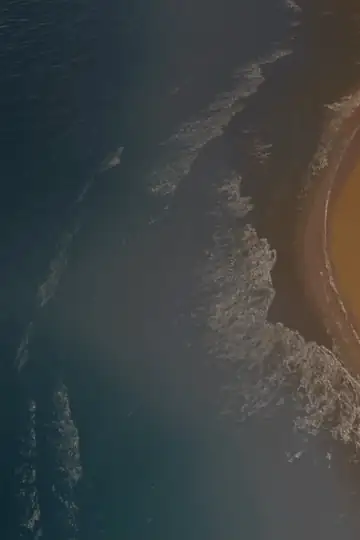 Darkness Into Light: a Rosh Hashanah Story