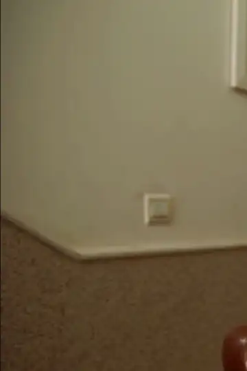 The Story of a Visit