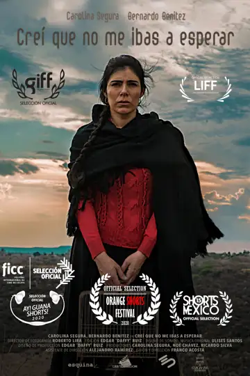 Creí que no me ibas a esperar