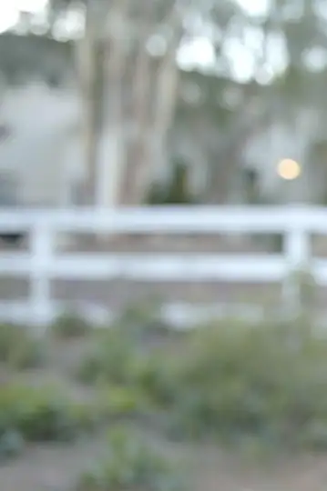 Expect a Miracle: Finding Light in the Darkness of a Pandemic