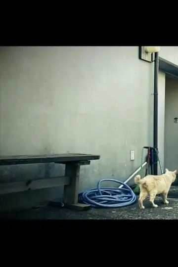 La machine à baiser