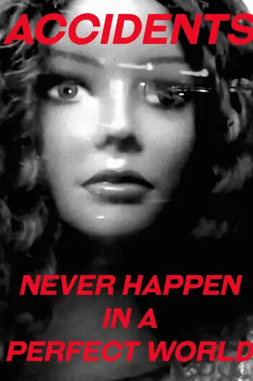 Accidents Never Happen in a Perfect World