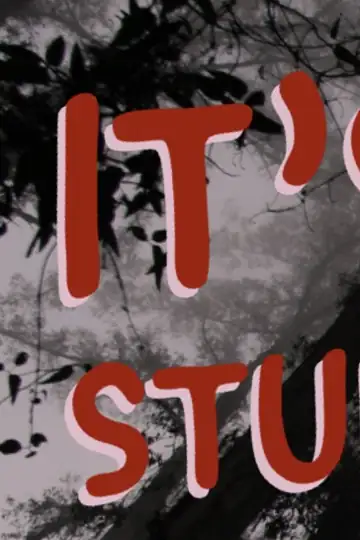 It's Just a Stuffed Animal