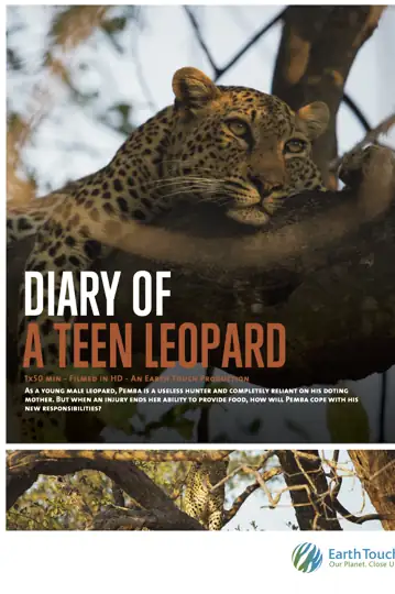 Diary of a Teen Leopard