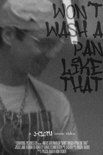 Won't Wash A Pan Like That - J-Cloth