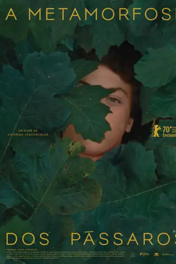 The Metamorphosis of Birds