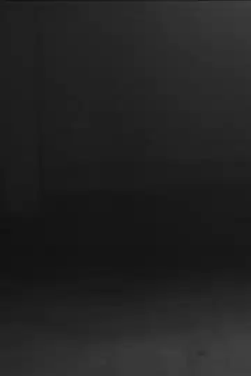 Fabio D'Andrea: No Day Shall Erase You (A Flat Minor)