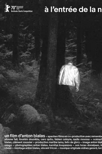 At the Entrance of the Night