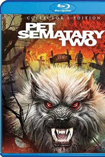 A Thousand Dollar Bet - An Interview with Steve Johnson