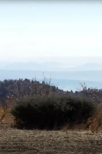 GORE-TEX x WeatherBug x Adidas: Giving Daydreams a Pulse feat. Spencer Rathkamp