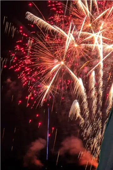 2019: A Year in the Life of a Year