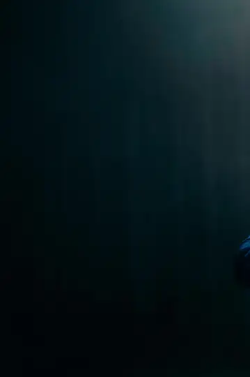 Roy Walker: Beyond A Joke