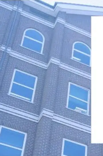 Lucky Stan 'A Day in the Office'