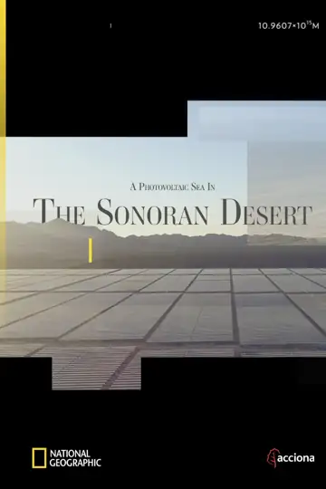 A Photovoltaic Sea in the Sonoran Desert