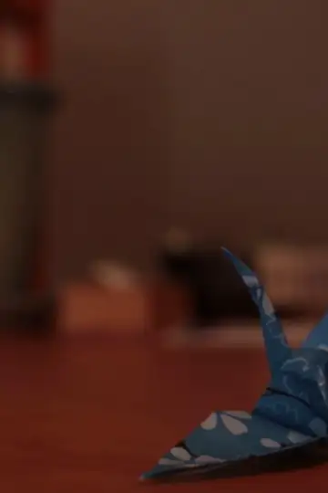 Tea Store- A Mini Documentary