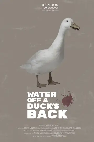 Water off a Duck's Back