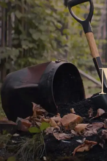 Malcolm (A Visual Poem)