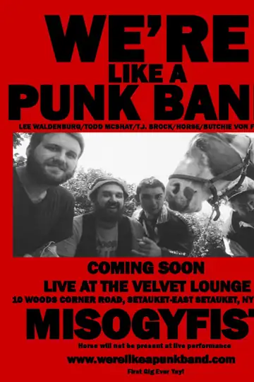 We're Like a Punk Band