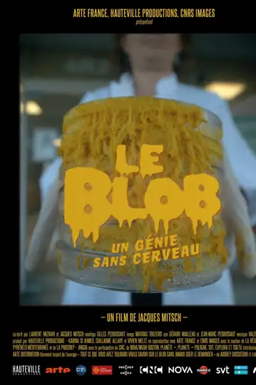 The Blob: A Genius Without a Brain