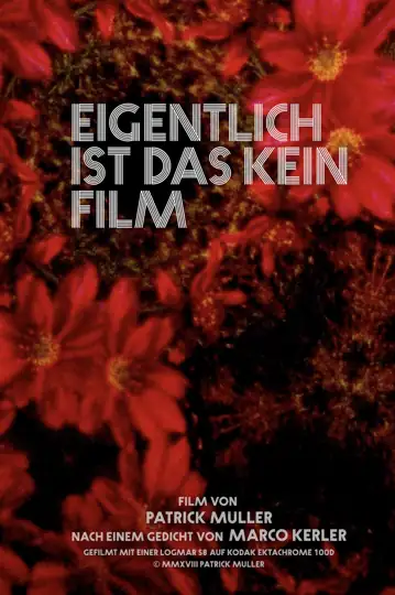 Actually, This Is Not a Film