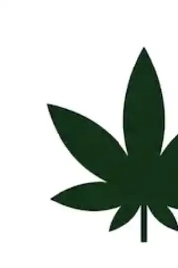 Sam and Jack Roll a Joint