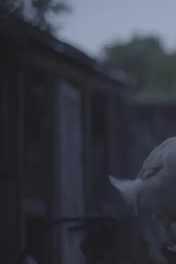 What a beautiful duck