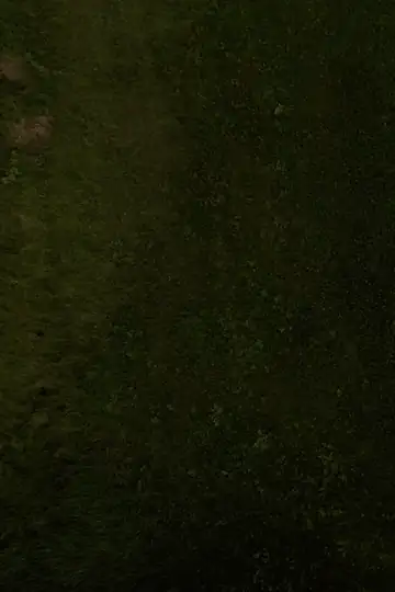 A Passagem das Horas