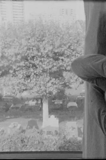 A Double Caprice at the Asylum