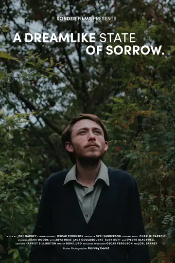 A Dreamlike State of Sorrow