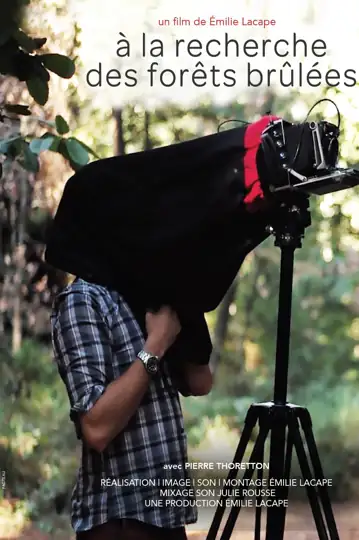 A la recherche des forêts brûlées
