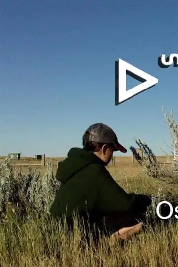 OshKiKiShiKaw: A New Day