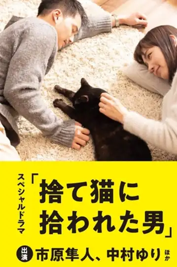 The Man Who Got Picked Up by a Stray Cat