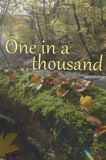 One in a Thousand