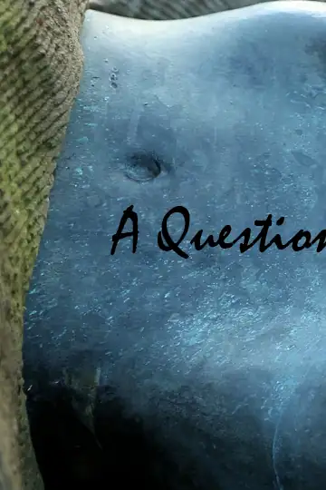 A Question of Beauty