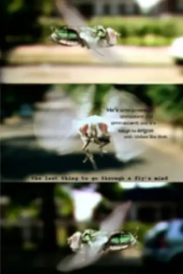 The Last Thing to Go Through a Fly's Mind