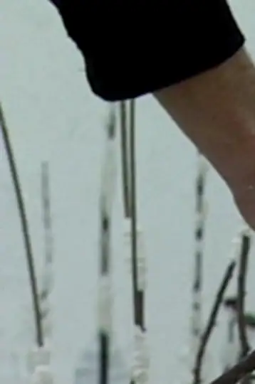 Lo no comparable a la palabra