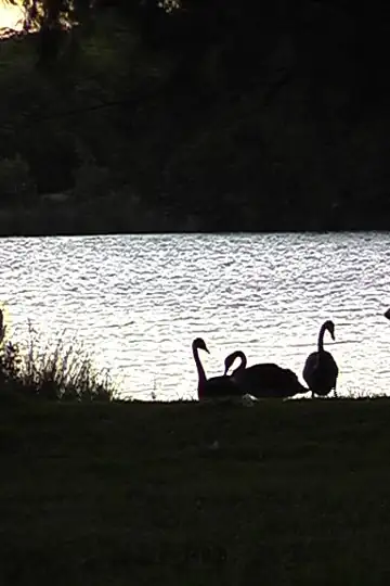 A Touch of Courage: The Enlightenment