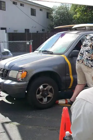 Point of View: A Dogumentary