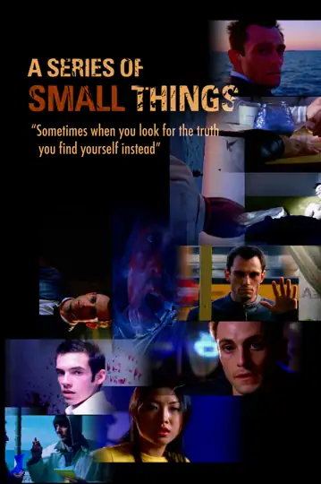 A Series of Small Things