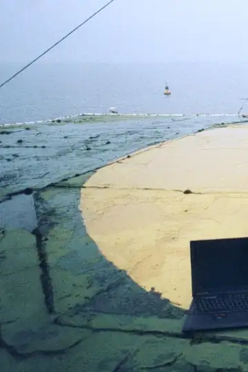 Almost Real: Connecting in a Wired World