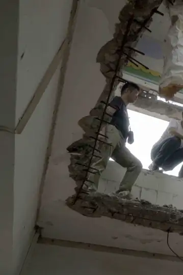 Behind the Dream: A Documentary on the Shadow Play