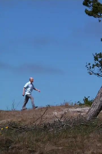 A Day in June - a song cycle in 5 portraits