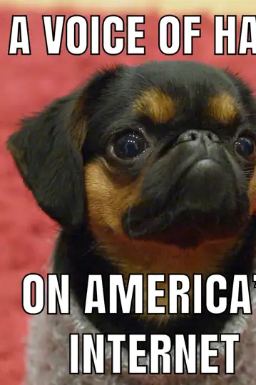 A Voice of Hate on America's Internet