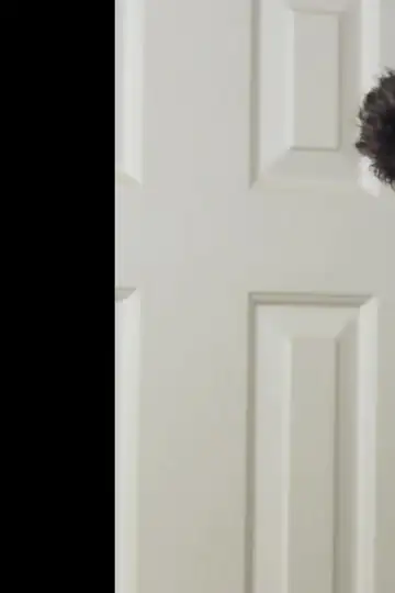 What I Was: A Short Film