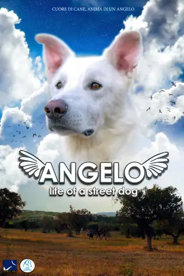 Angelo: Life of a Street Dog