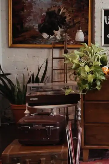 This American Life Videos 4 U: I Love You