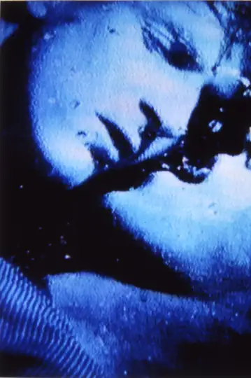 Self-Portrait in 23 Rounds: A Chapter in David Wojnarowicz's Life, 1989-1991